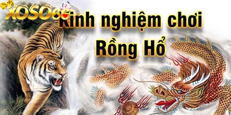 bat-mi-cac-bi-kip-hieu-qua-giup-choi-game-rong-ho-nhan-thang-lon XOSO66